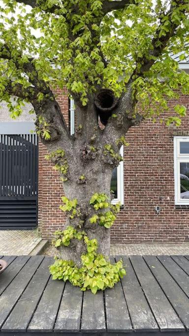 Puur Eastermar - Monumentaal, Authentiek En Luxe Koetshuis Aan Open Vaarwater Met Jacuzzi En Sauna Oostermeer Zewnętrze zdjęcie