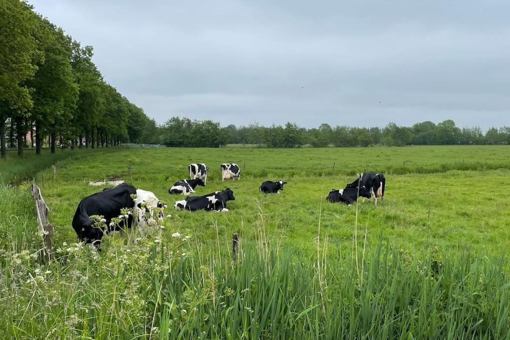 Puur Eastermar - Monumentaal, Authentiek En Luxe Koetshuis Aan Open Vaarwater Met Jacuzzi En Sauna Oostermeer Zewnętrze zdjęcie