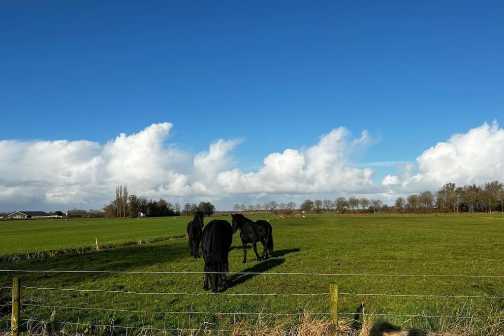 Puur Eastermar - Monumentaal, Authentiek En Luxe Koetshuis Aan Open Vaarwater Met Jacuzzi En Sauna Oostermeer Zewnętrze zdjęcie